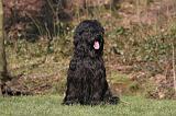 BRIARD 050